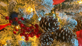 Merry-Christmas-fom-TAB-2023n